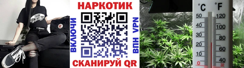 Названия наркотиков Кропоткин Гашиш Канабис OMG ссылка Мефедрон COCAIN