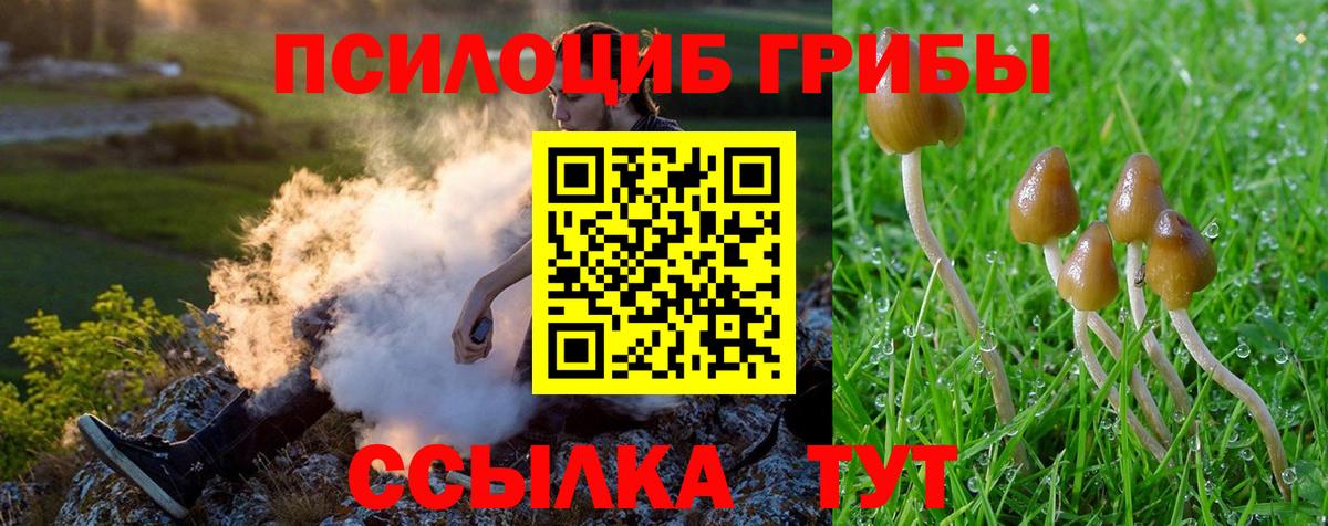 Cocaine  Кропоткин  Мефедрон кристаллы  Альфа ПВП СК кристаллы  ГАШ  ГАШ  Вход с VPN  Каннабис  МДМА  Экстази 
